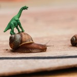 Snail racing