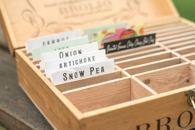 DIY seed box - The Surprise-aholic