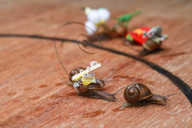 Snail Racing Game : Decorate some racing snails!