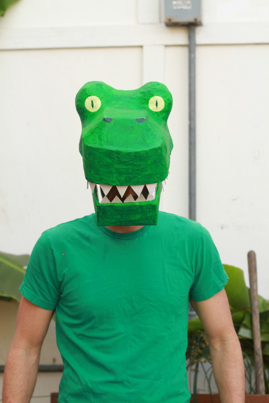 DIY Mache Dinosaur Costume: Trex costume