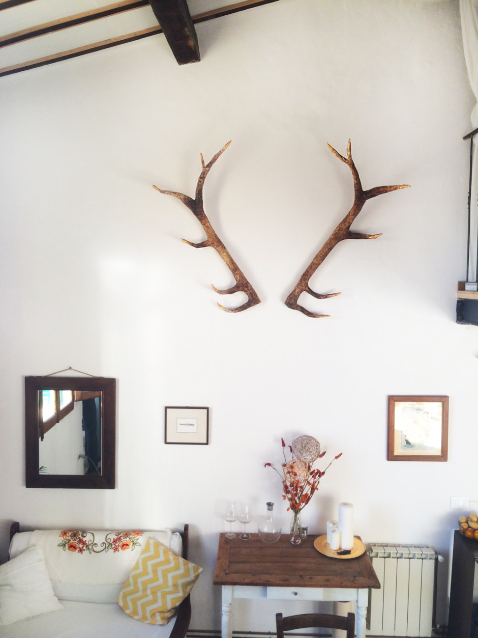 A deer antler DIY for an awesome vegan-friendly, faux taxidermy look!