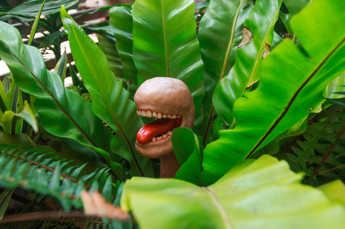Carnivorous Jungle Plant Craft DIY