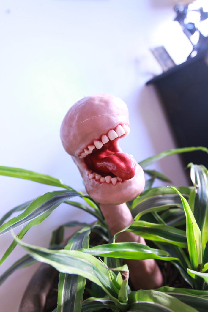 Plant with Teeth Craft Tutorial